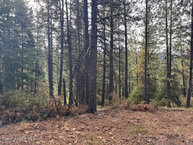 $370,500 | 40 Acres Dole Camp Road, Desmet, ID 83824