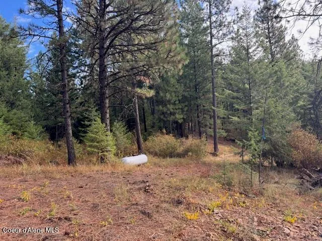 $370,500 | 40 Acres Dole Camp Road, Desmet, ID 83824