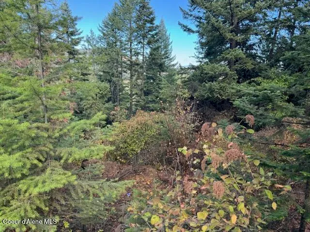 $370,500 | 40 Acres Dole Camp Road, Desmet, ID 83824