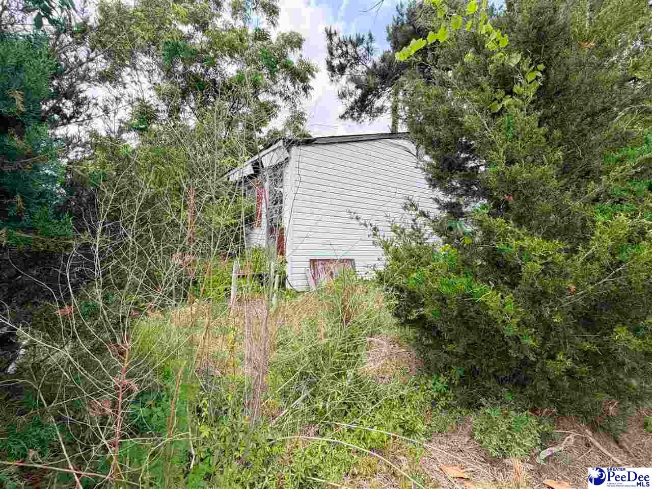 1041 Airport Road Dillon, SC 29536 - Photo 2 of 4 Gallery Image 2