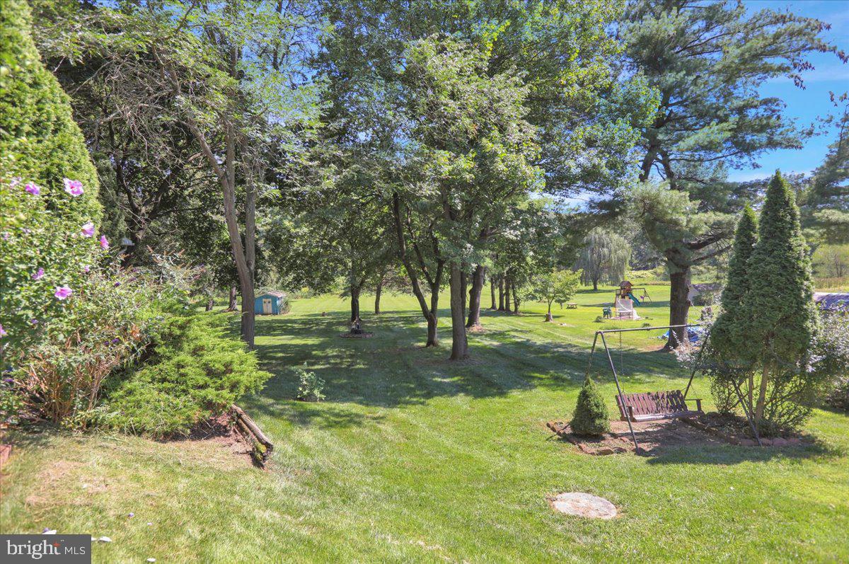 1717 Friedensburg Road Reading, PA 19606 - Photo 39 of 63 a view of a tree in a yard