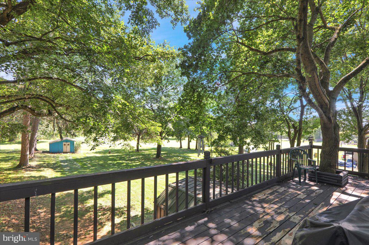 1717 Friedensburg Road Reading, PA 19606 - Photo 45 of 63 a view of a street with a trees