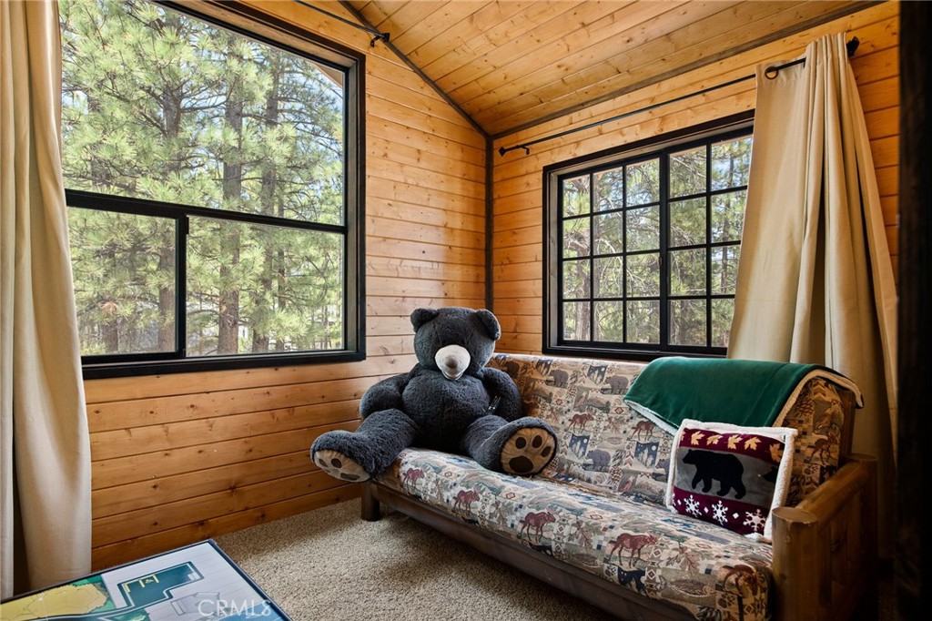 423 Pine View Drive Big Bear City, CA 92314 - Photo 31 of 47