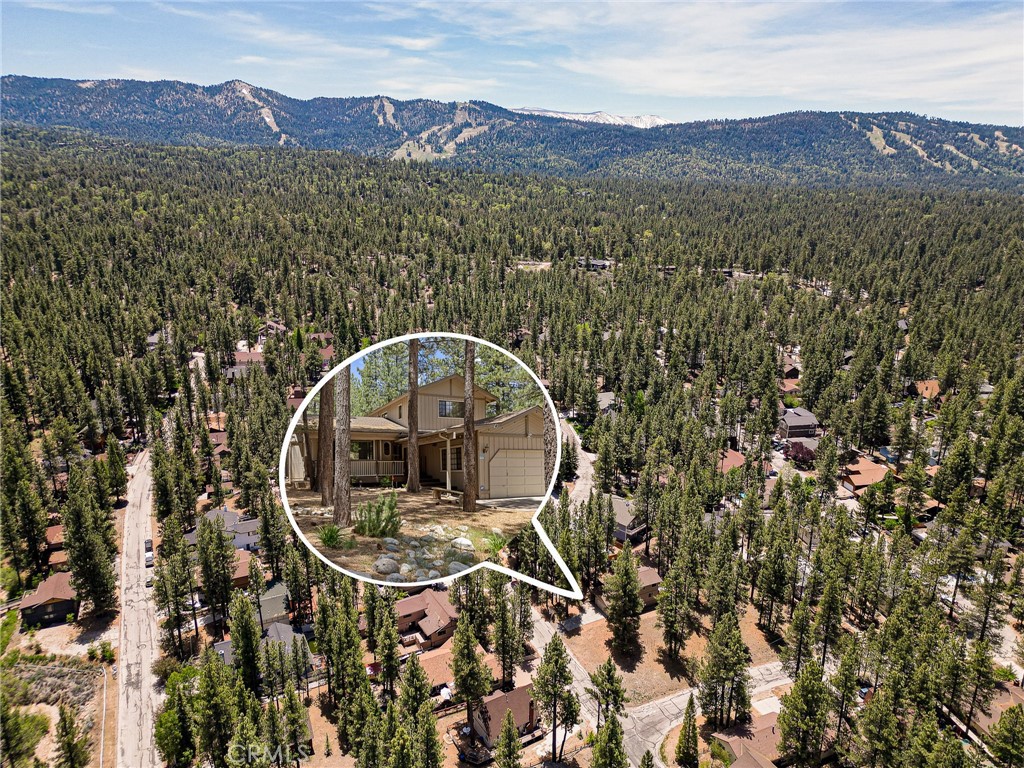 423 Pine View Drive Big Bear City, CA 92314 - Photo 42 of 47