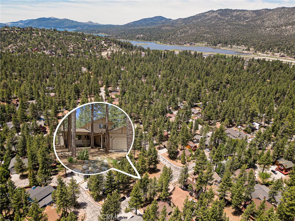 423 Pine View Drive Big Bear City, CA 92314 - Photo 43 of 47