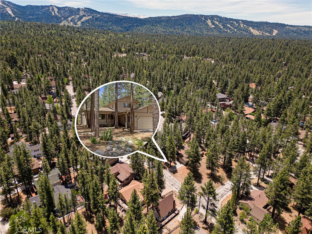 423 Pine View Drive Big Bear City, CA 92314 - Photo 44 of 47