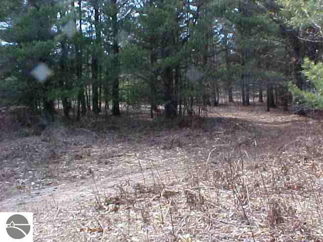1241 Kindig Road Alger, MI 48610 - Photo 8 of 8 1751330-7.JPG
