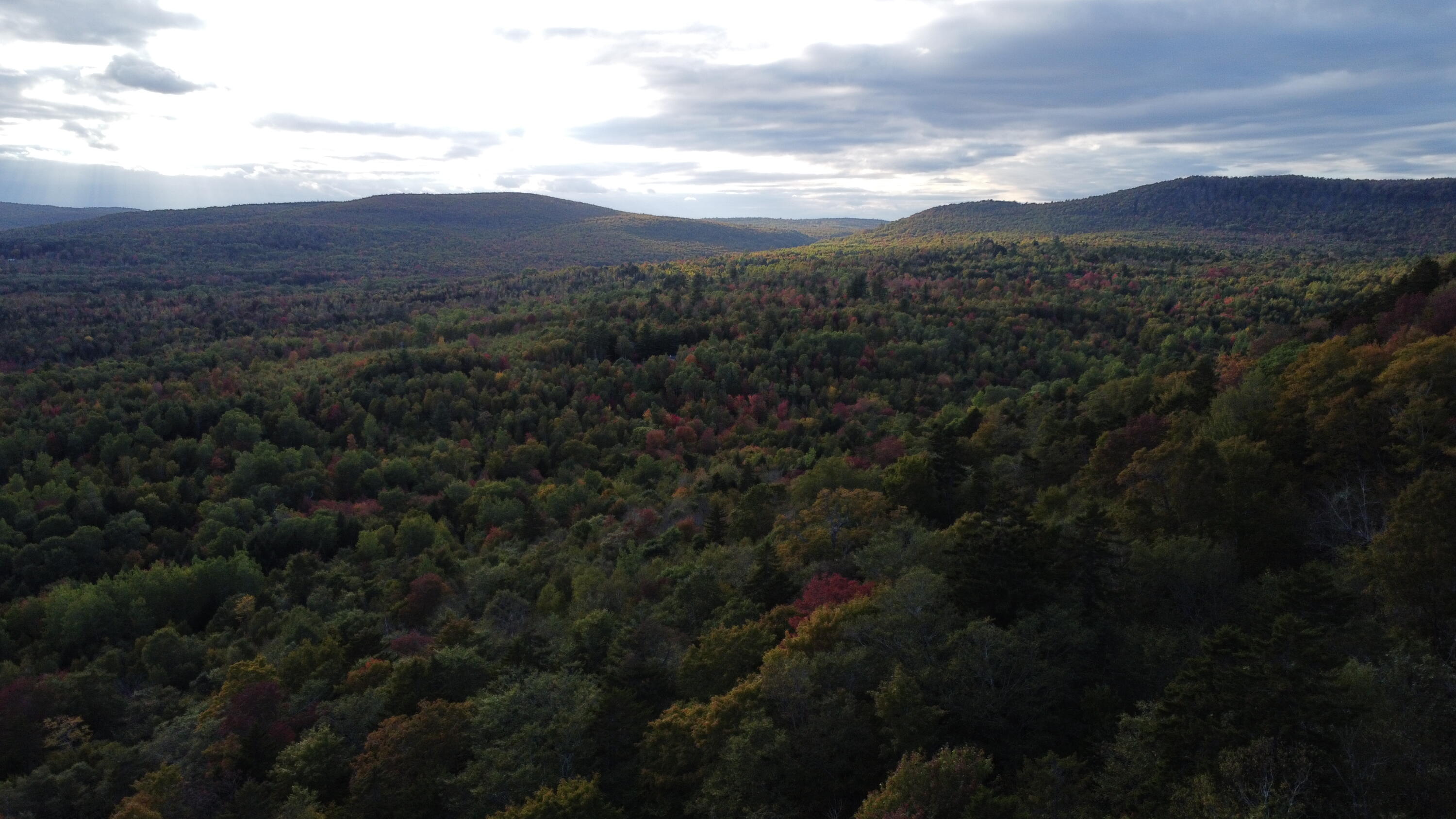 46 Toad Run Road Carroll Plt, ME 04487 - Photo 6 of 46 dji_fly_20250924_171058_237_175874831550