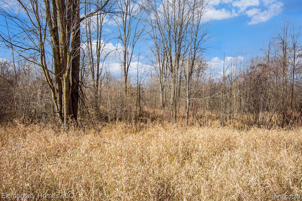 0 South Crawford Road Omer, MI 48749 - Photo 7 of 19
