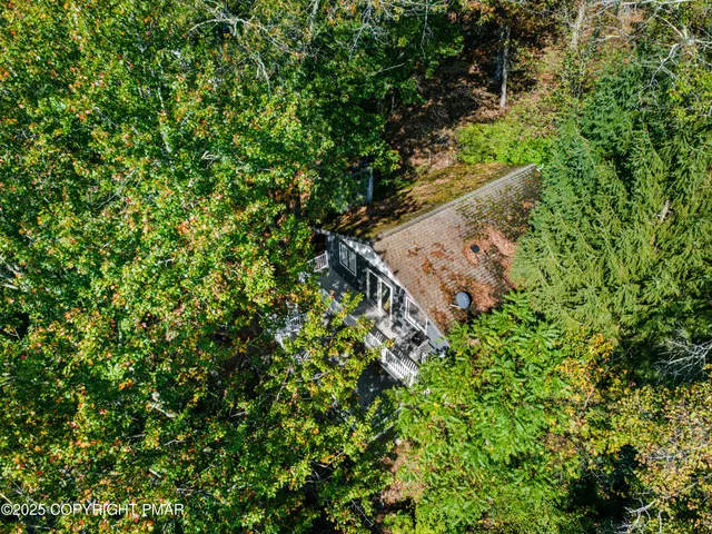 a view of a lush green forest with lots of trees