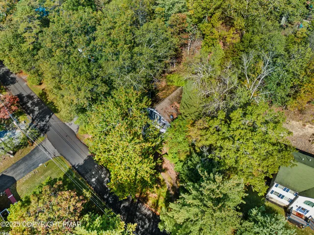 a view of a yard with plants