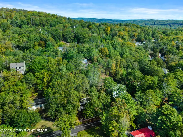 a view of a lush green forest with lots of trees