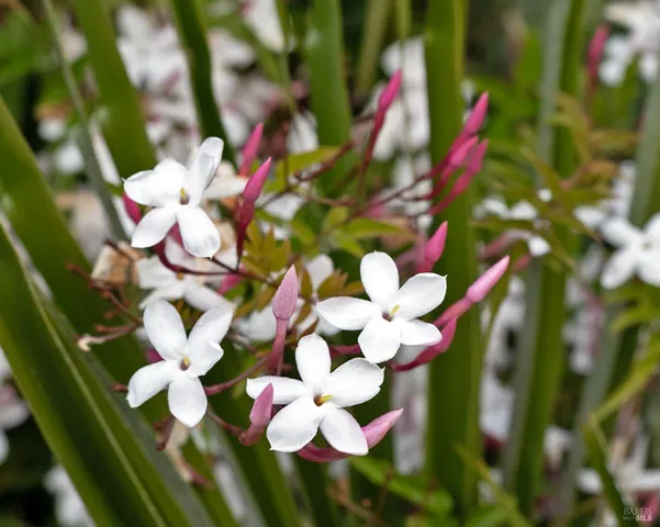 $1,100,000 | 9 Regatta Way, Napa, CA 94559