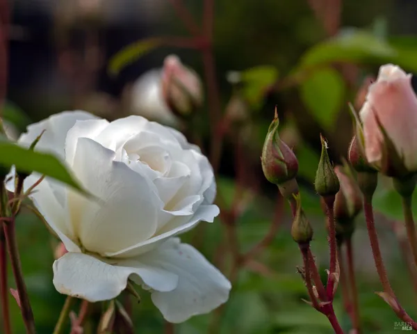 $1,100,000 | 9 Regatta Way, Napa, CA 94559