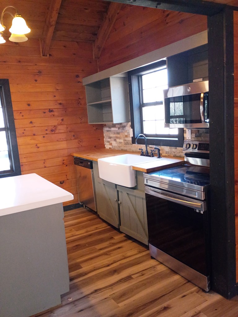 202 Back Pine Way Ellijay, GA 30536 - Photo 4 of 13