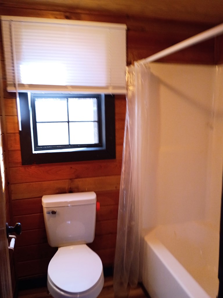 202 Back Pine Way Ellijay, GA 30536 - Photo 7 of 13