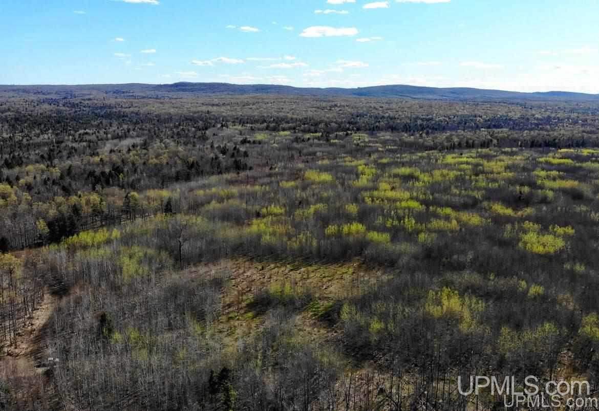 Tbd Off Ravine River Road Skanee, MI 49962 - Photo 7 of 20