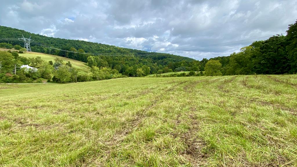Tbd Castleton Road, Unit 62110 Max Meadows, VA 24360 - Photo 14 of 37 Gallery Image 14