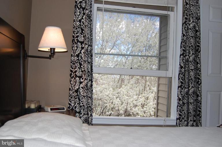 2107 North Rolfe Street, Unit D Arlington, VA 22209 - Photo 19 of 23 WONDERFUL VIEWS FROM WINDOW