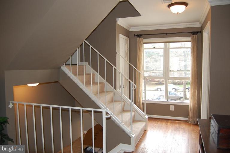 2107 North Rolfe Street, Unit D Arlington, VA 22209 - Photo 21 of 23 LIGHT FILLED