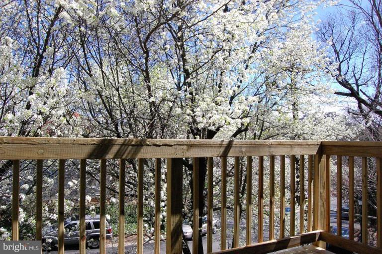 2107 North Rolfe Street, Unit D Arlington, VA 22209 - Photo 22 of 23 WOODED VIEW