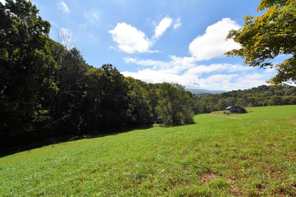 Tbd Ripshin Road Troutdale, VA 24378 - Photo 4 of 21 Gallery Image 4