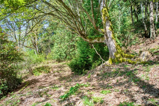 $499,000 | 0 East Lake Sammamish Parkway Northeast, Sammamish, WA 98074