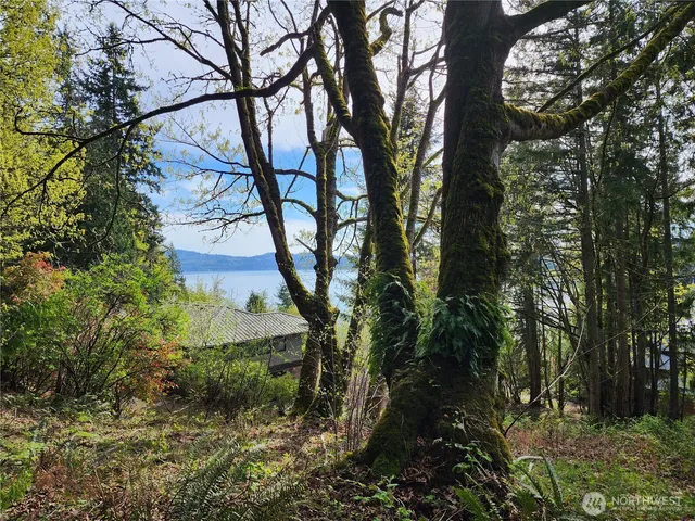 $499,000 | 0 East Lake Sammamish Parkway Northeast, Sammamish, WA 98074