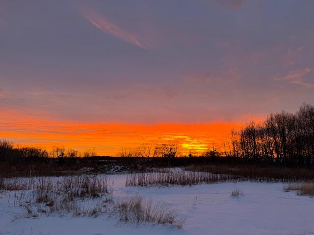 21945 County 38 Long Prairie, MN 56347 - Photo 104 of 115
