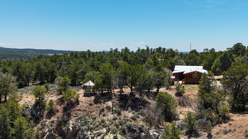 61 Rincon Road Counselor, NM 87018 - Photo 58 of 62 Gallery Image 58