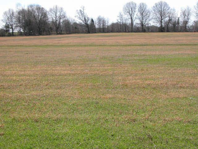 10 Scotland Road, Unit LOT 10 Benton, MS 39039 - Photo 1 of 1 Photo 1