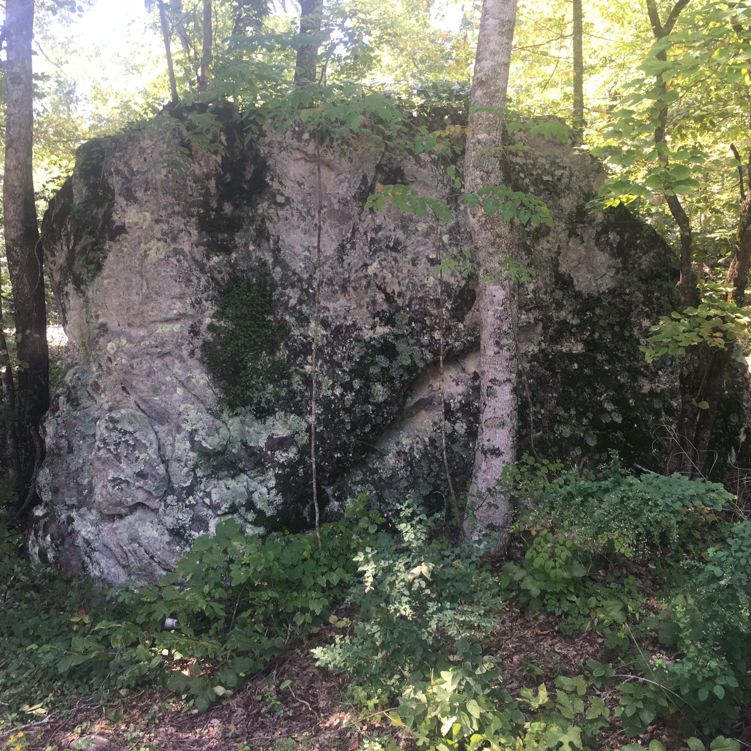 Cooper Road Tallassee, TN 37878 - Photo 12 of 25 E9D26BC5-1A8A-49EA-B810-1B370E46FC87