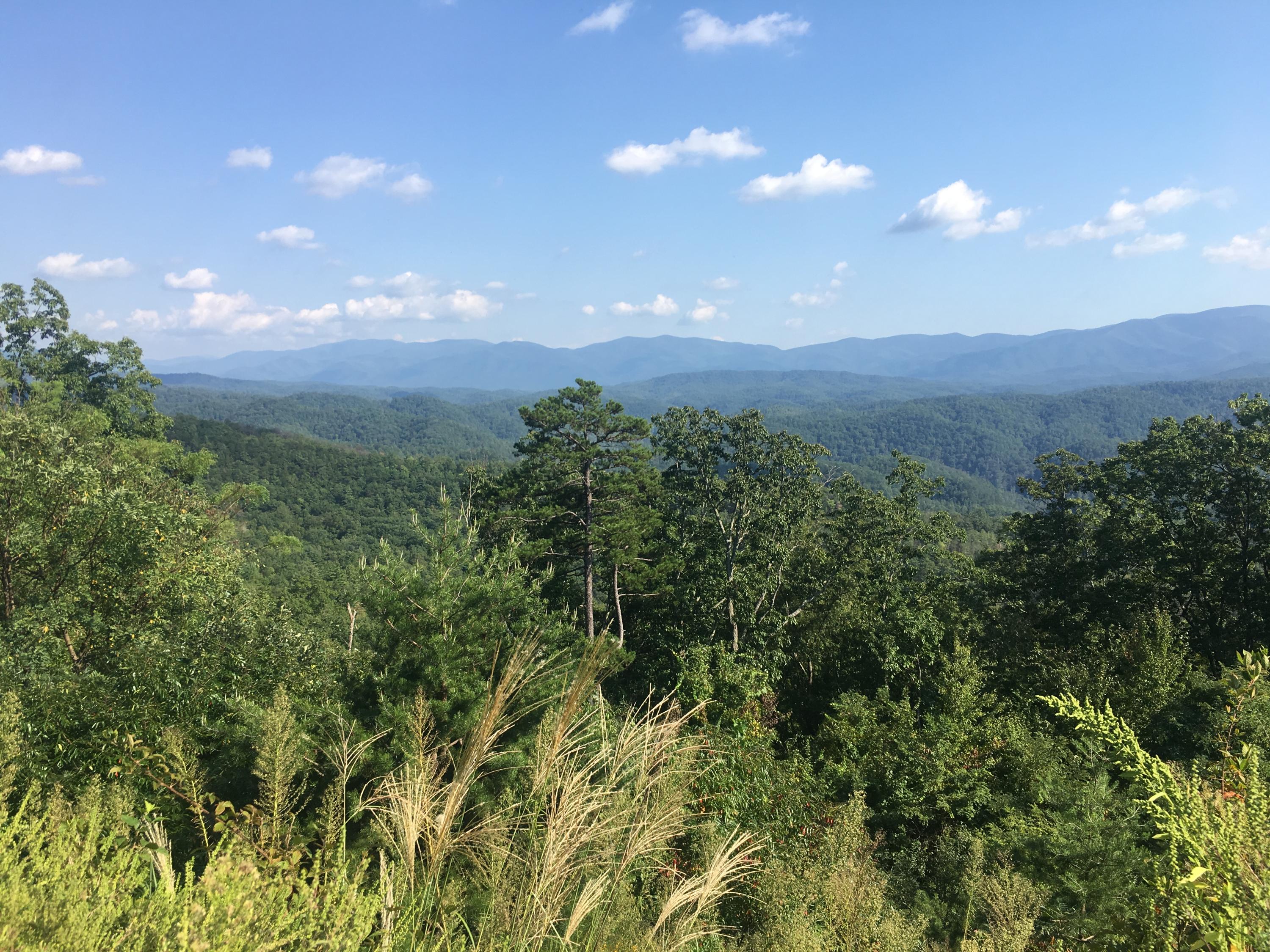 Cooper Road Tallassee, TN 37878 - Photo 20 of 25 44C59D11-A3E7-4DE0-8FF5-D3FFF4C5E511