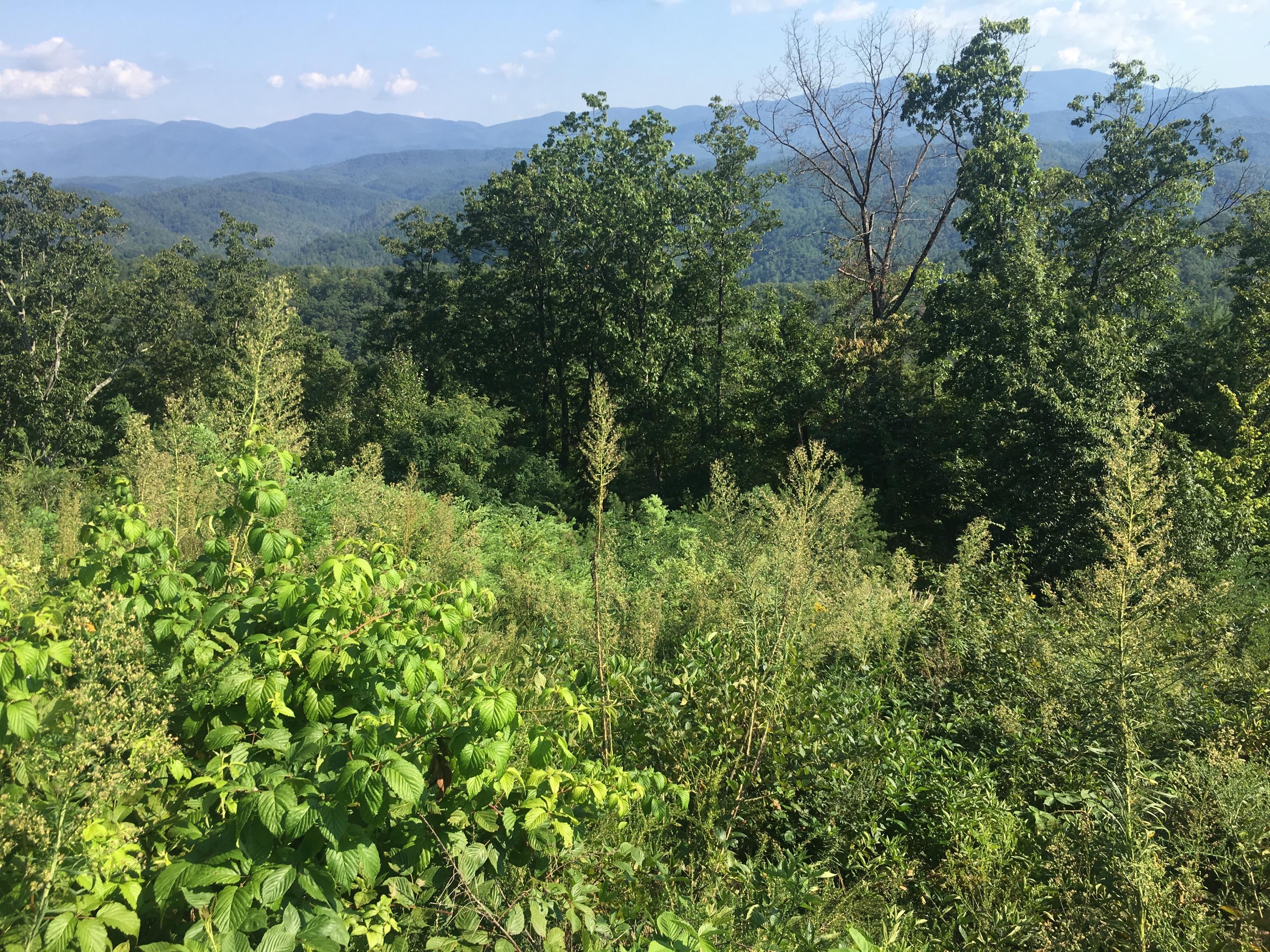 Cooper Road Tallassee, TN 37878 - Photo 22 of 25 E54B222D-046F-4A2F-A75A-D1B71531A738
