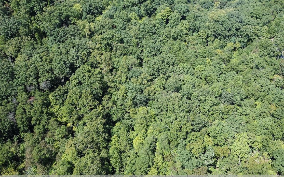 Cooper Road Tallassee, TN 37878 - Photo 23 of 25 E6790227-C0CA-4F87-B0A3-7F1EE898C3BD