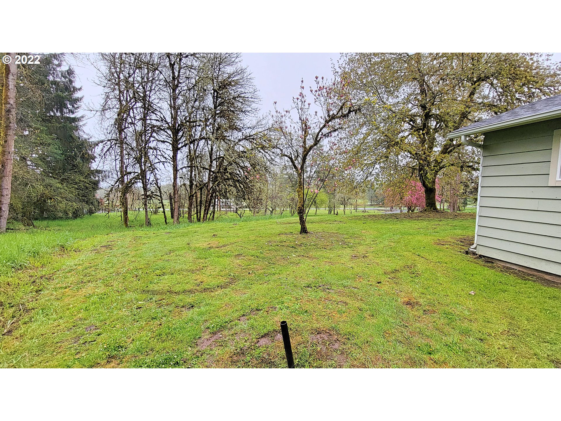90672 Hill Road Springfield, OR 97478 - Photo 20 of 29 a black and white photo of a park
