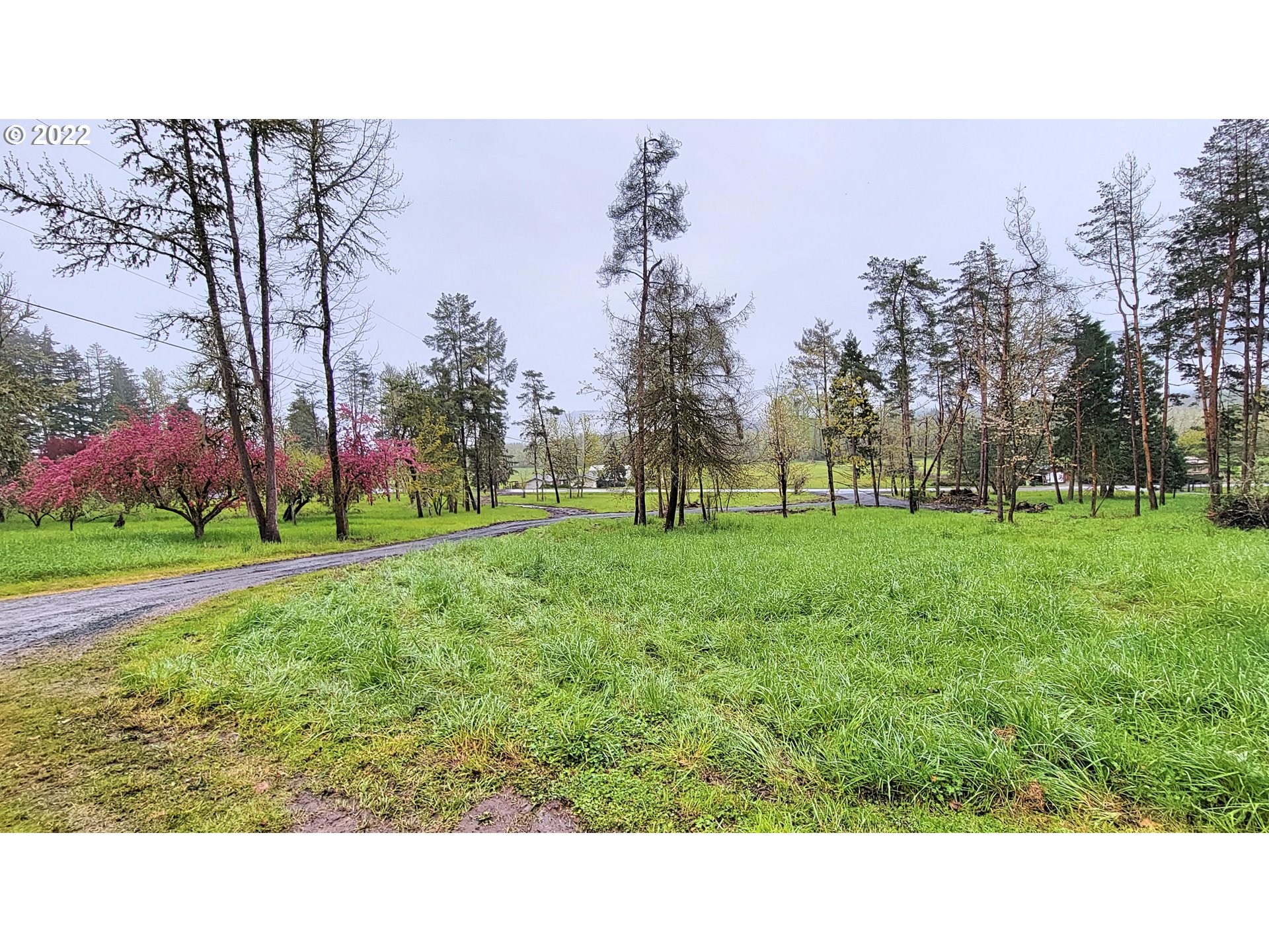 90672 Hill Road Springfield, OR 97478 - Photo 23 of 29 a black and white photo of a park