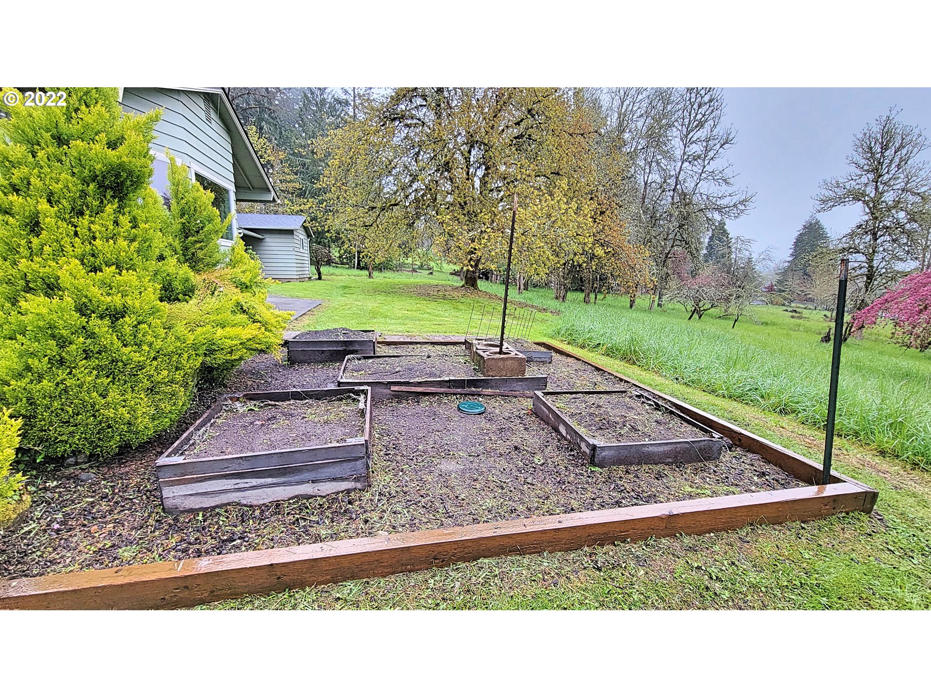 90672 Hill Road Springfield, OR 97478 - Photo 25 of 29 a view of a backyard with plants
