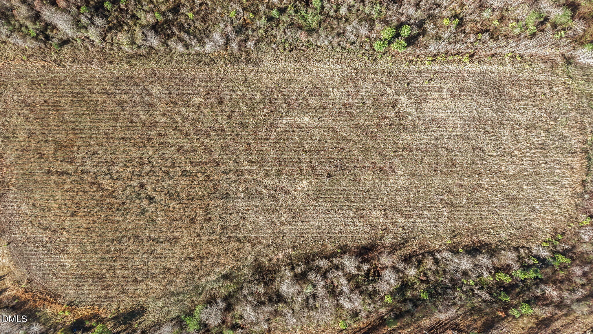 0 Dukes Lake Road Zebulon, NC 27597 - Photo 11 of 14