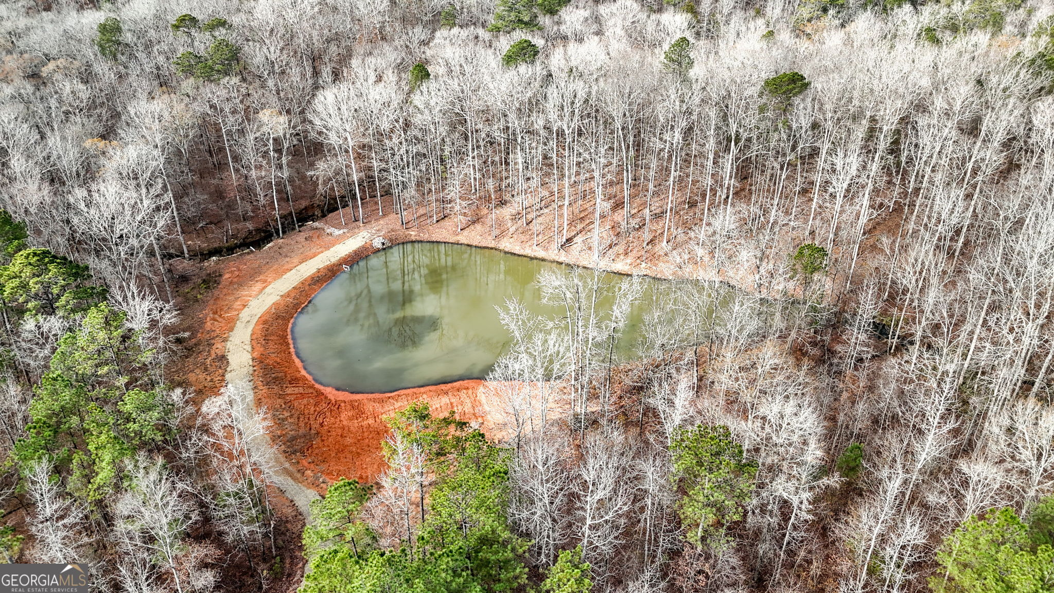 1140 City Pond Road Barnesville, GA 30204 - Photo 29 of 37 a view of a backyard