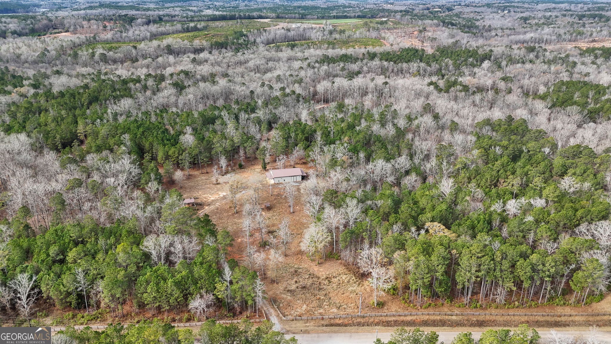1140 City Pond Road Barnesville, GA 30204 - Photo 3 of 37 a view of a yard with large trees