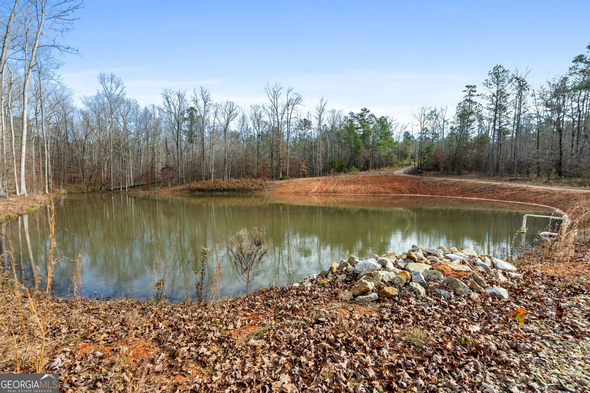 1140 City Pond Road Barnesville, GA 30204 - Photo 31 of 37 a view of a lake with a mountain in the background