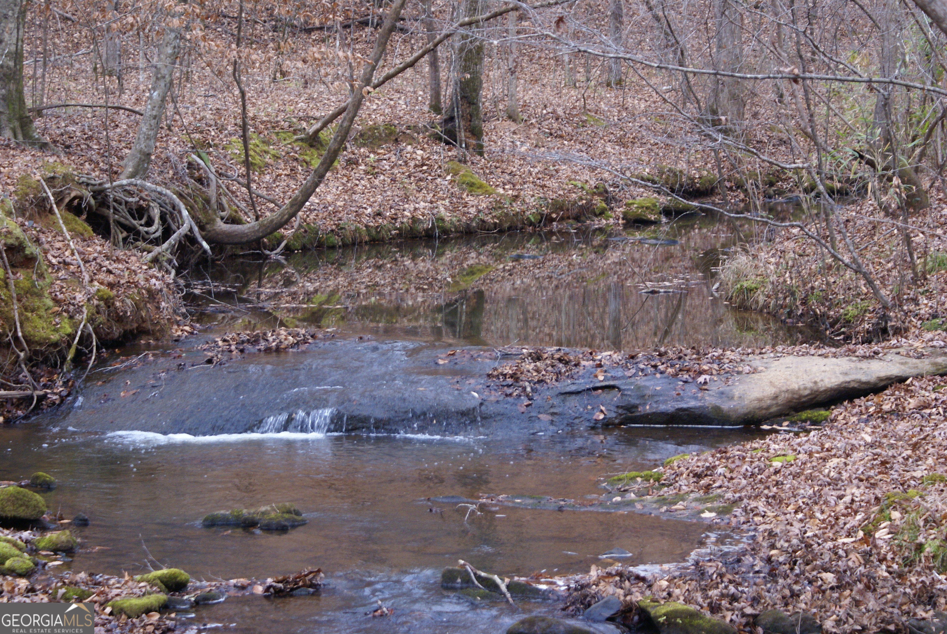 1140 City Pond Road Barnesville, GA 30204 - Photo 32 of 37 a view of a wooden floor