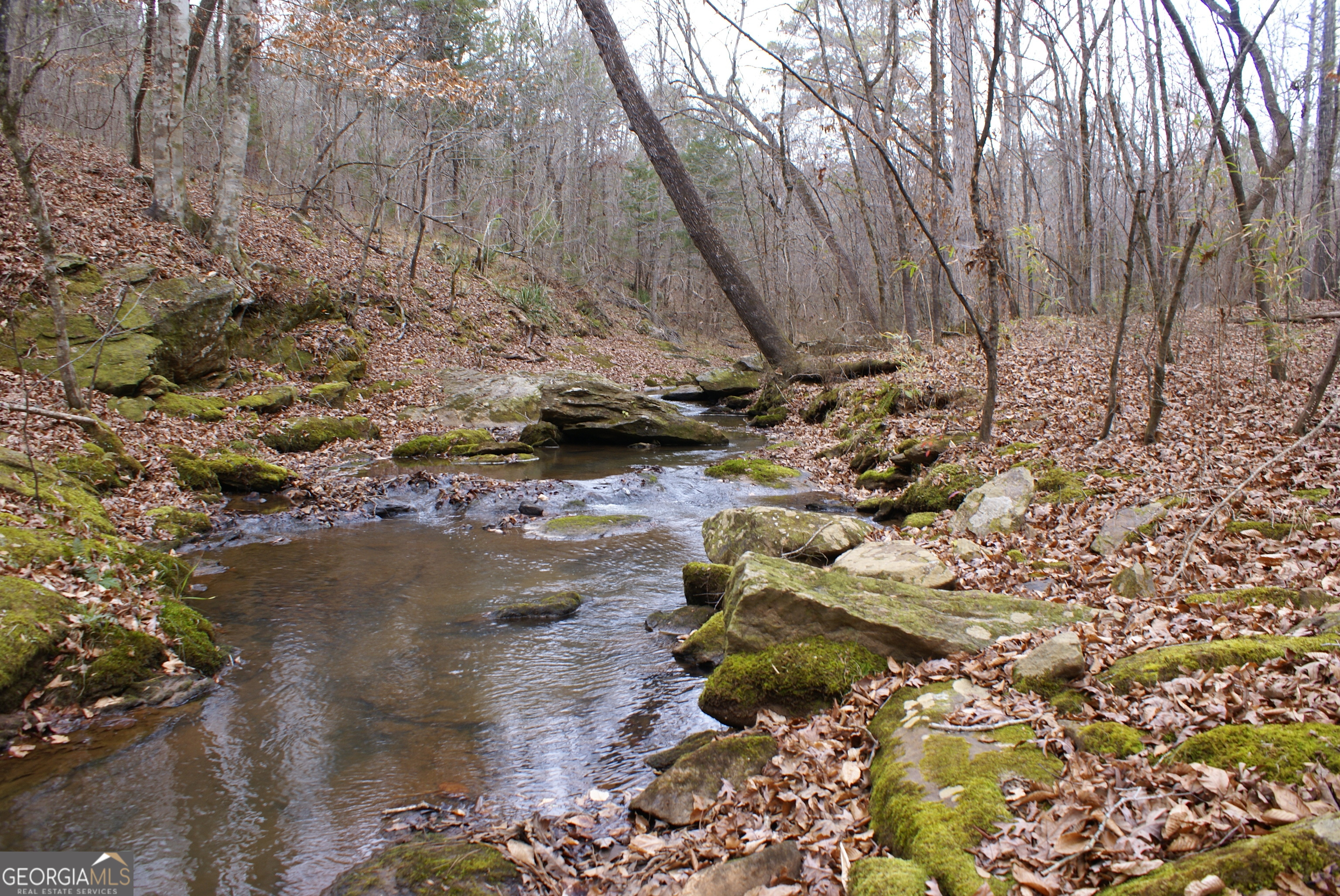 1140 City Pond Road Barnesville, GA 30204 - Photo 34 of 37 a view of a yard with a large tree