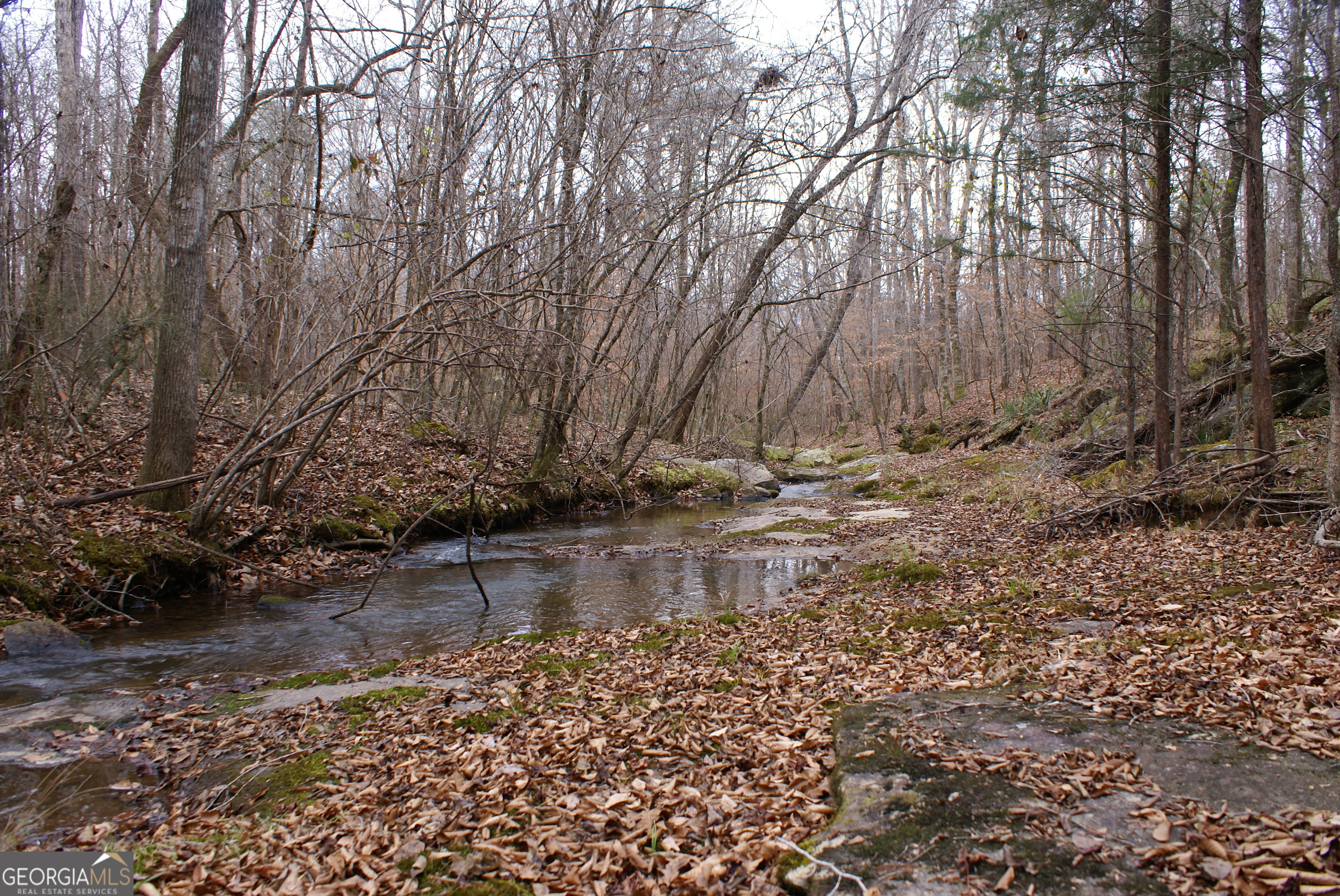 1140 City Pond Road Barnesville, GA 30204 - Photo 35 of 37 a view of a yard with plants and trees