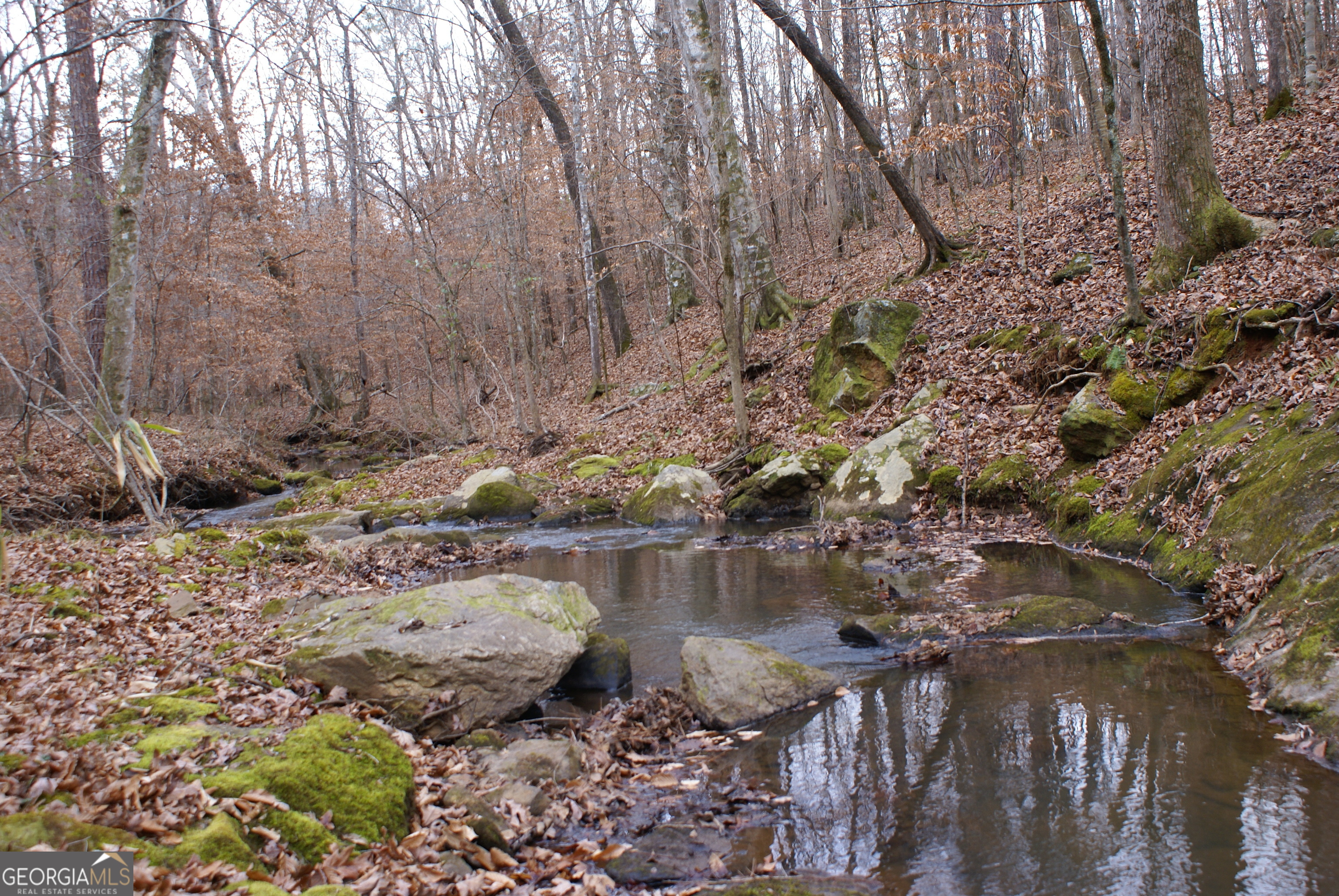 1140 City Pond Road Barnesville, GA 30204 - Photo 36 of 37 a view of a tree with a yard