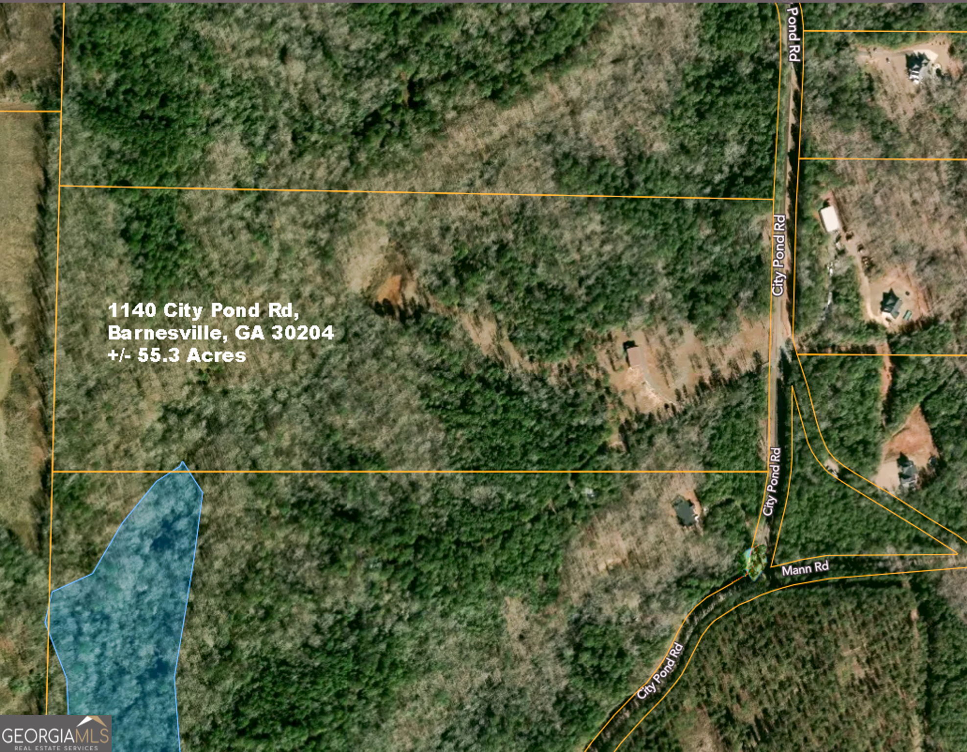 1140 City Pond Road Barnesville, GA 30204 - Photo 37 of 37 a view of a yard