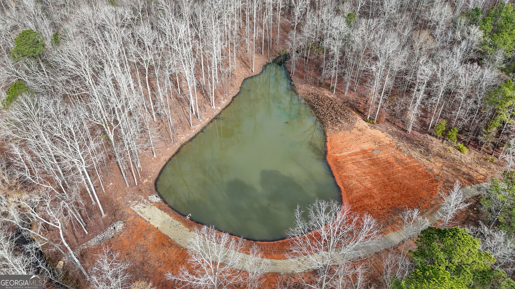 1140 City Pond Road Barnesville, GA 30204 - Photo 6 of 37