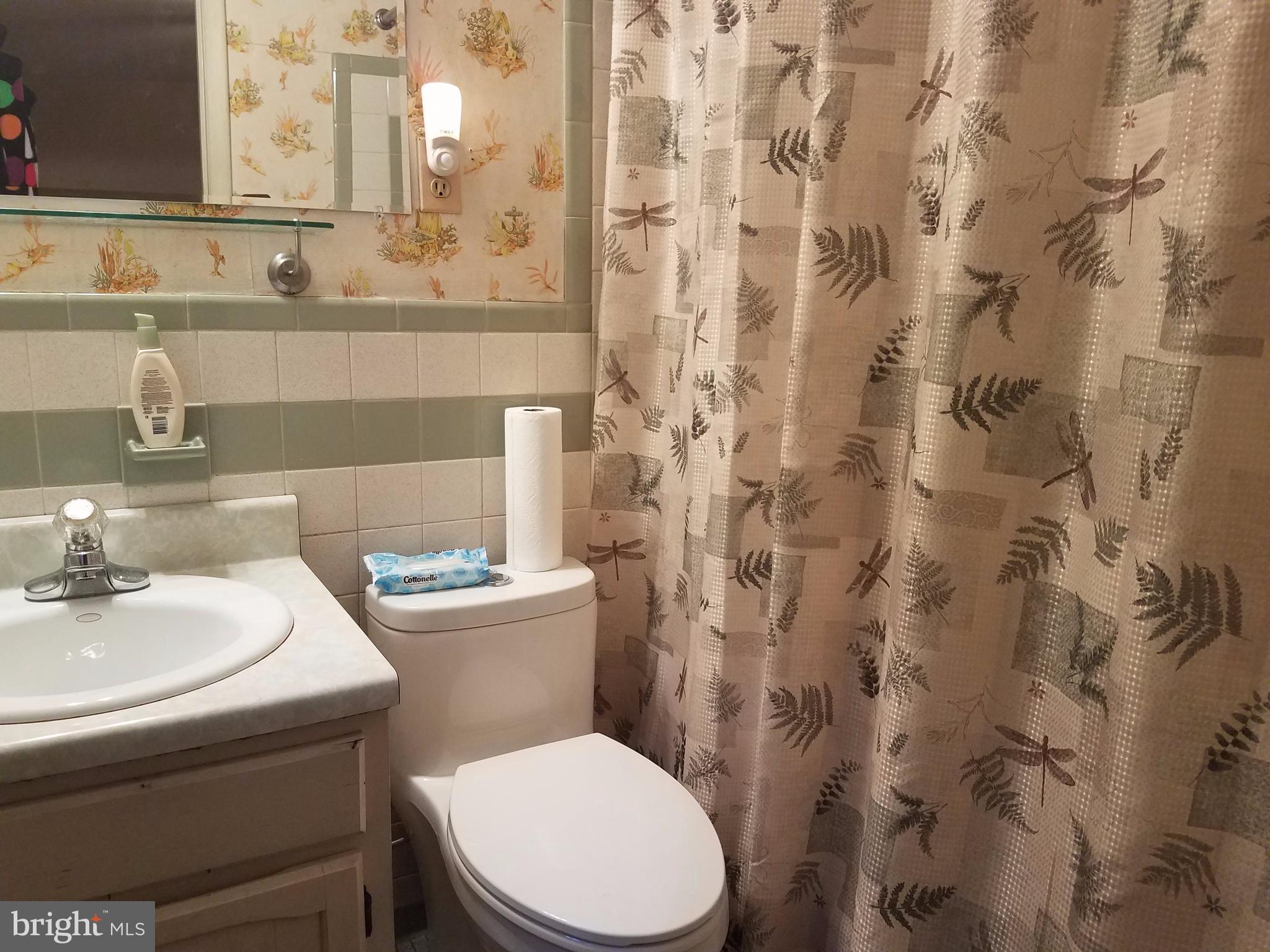 6901 Friendship Road Clinton, MD 20735 - Photo 15 of 26 a bathroom with a sink a toilet and a mirror