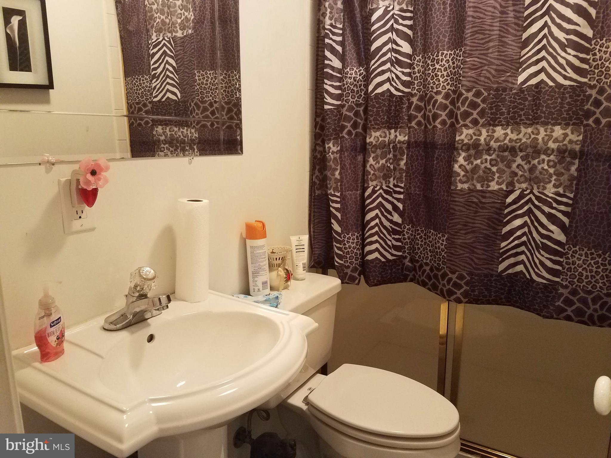 6901 Friendship Road Clinton, MD 20735 - Photo 19 of 26 a bathroom with a sink a toilet and mirror
